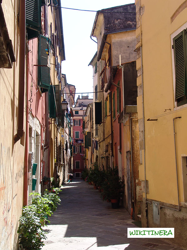 Carrara Wikitinera.it